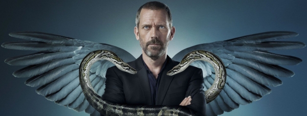 Hugh Laurie as Dr. Gregory House MD