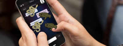 Me equivoqu&eacute; de chat