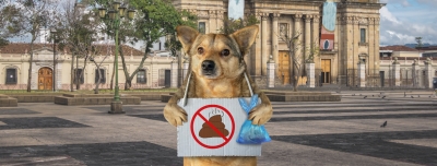 Es org&aacute;nico, pero apesta