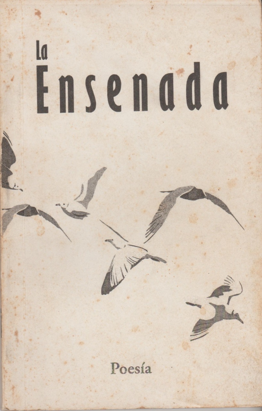Apuntes escritos de prisa (y más tarde revisados)  para celebrar el veinte aniversario de La Ensenada