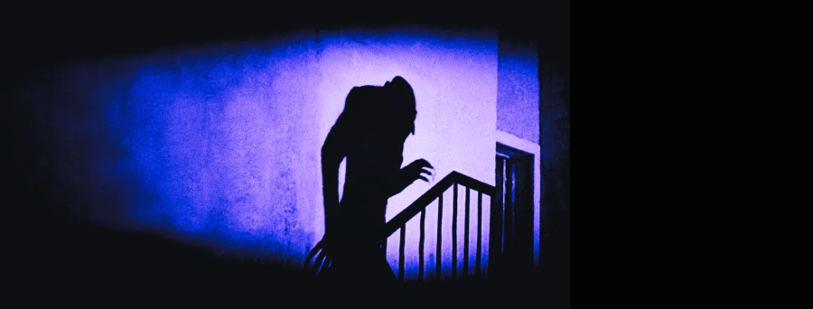 Sombras en el techo